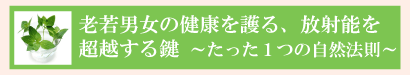 �V��j���̌��N�����A���˔\���z�̌��`�������P�̎��R�@���`