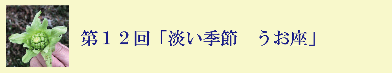 第１２回「淡い季節　うお座」